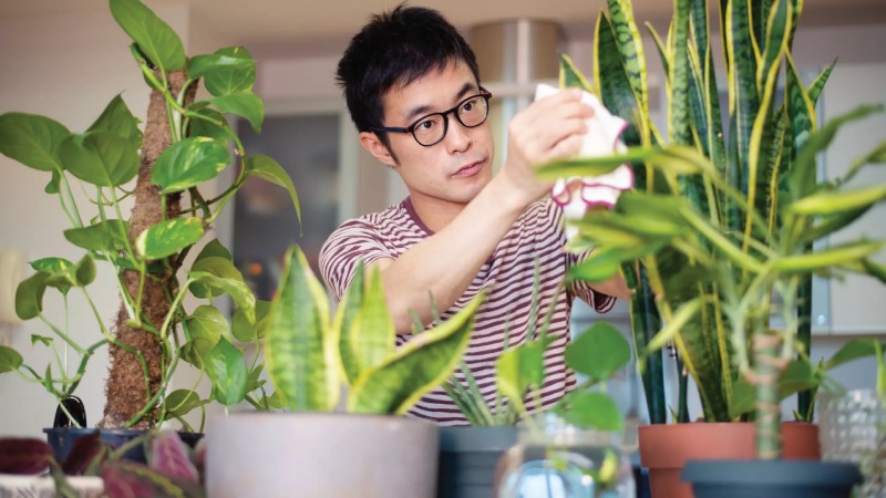 Bagaimana Tips Menciptakan Nuansa Alam di Dalam Rumah?