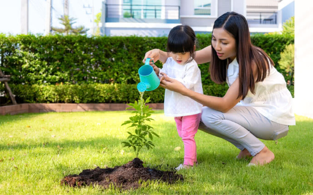Mau Berkebun di Rumah? Siapkan 5 Hal Penting Ini!