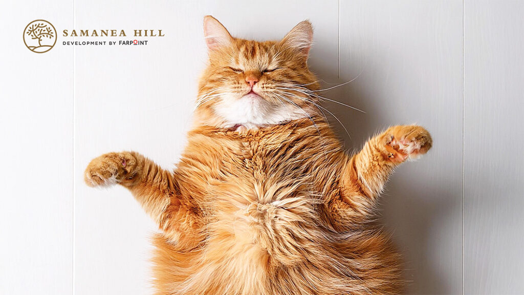 Di sini Lebih Asik! Yakin Gak Mau Pindah ke Samanea Hill?